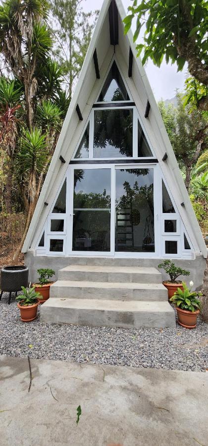 Hostal Pink House *