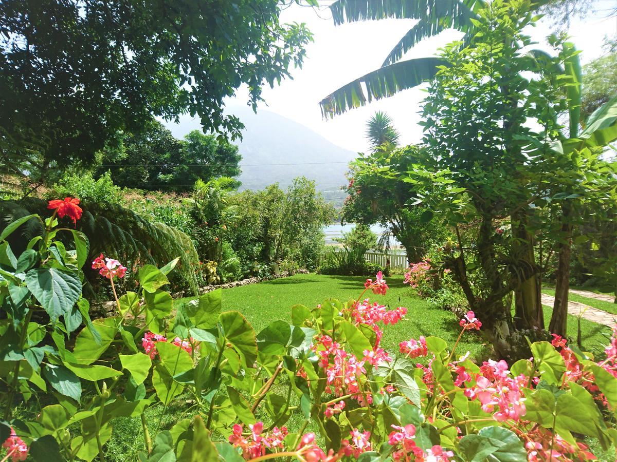 Hostel Pink House *