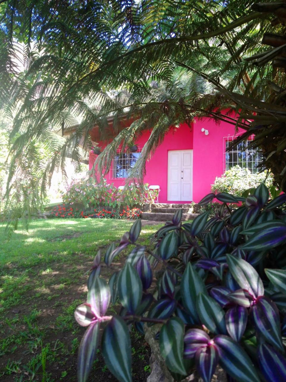Pink House San Lucas Tolimán