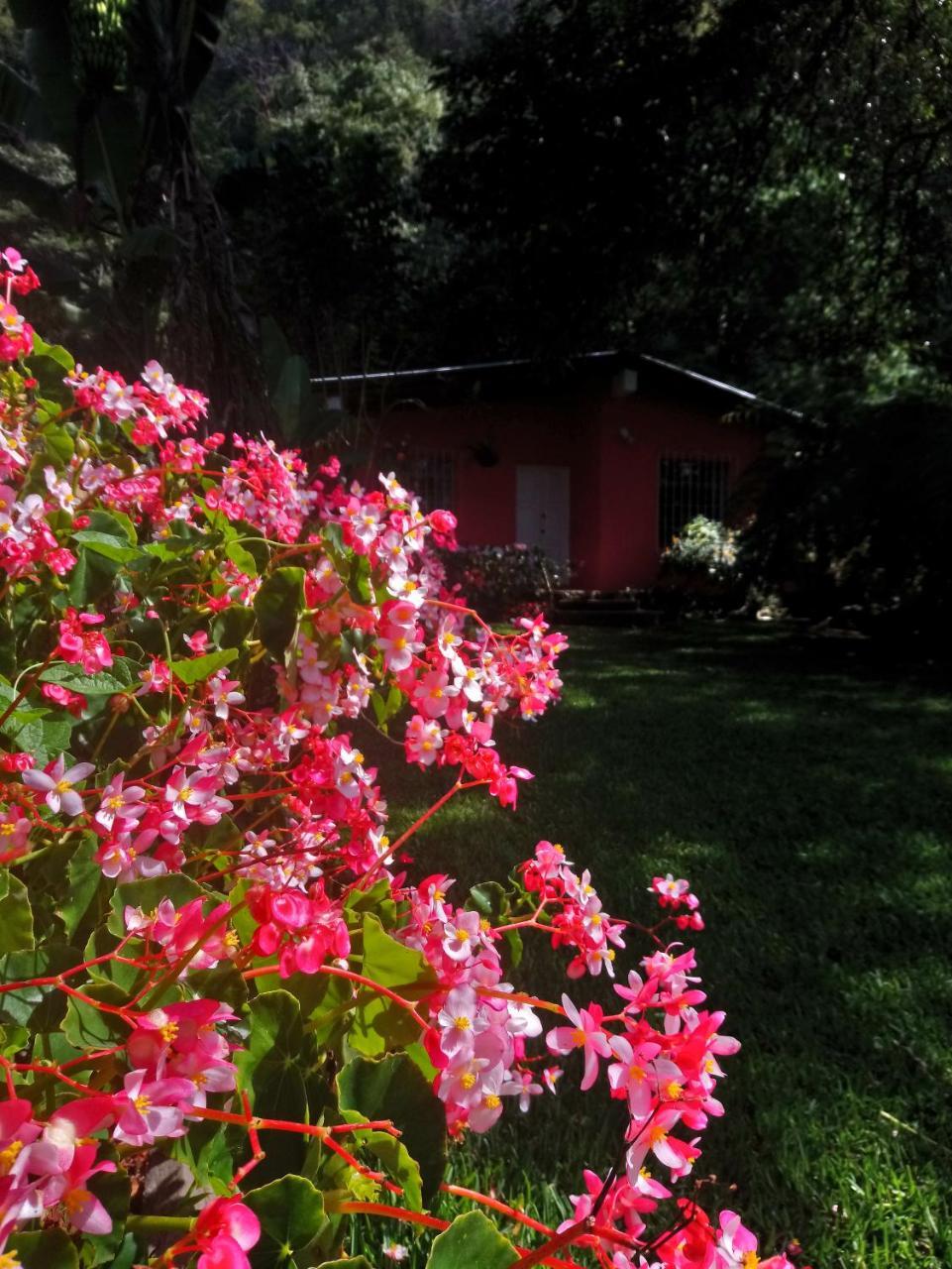 Hostal Pink House *